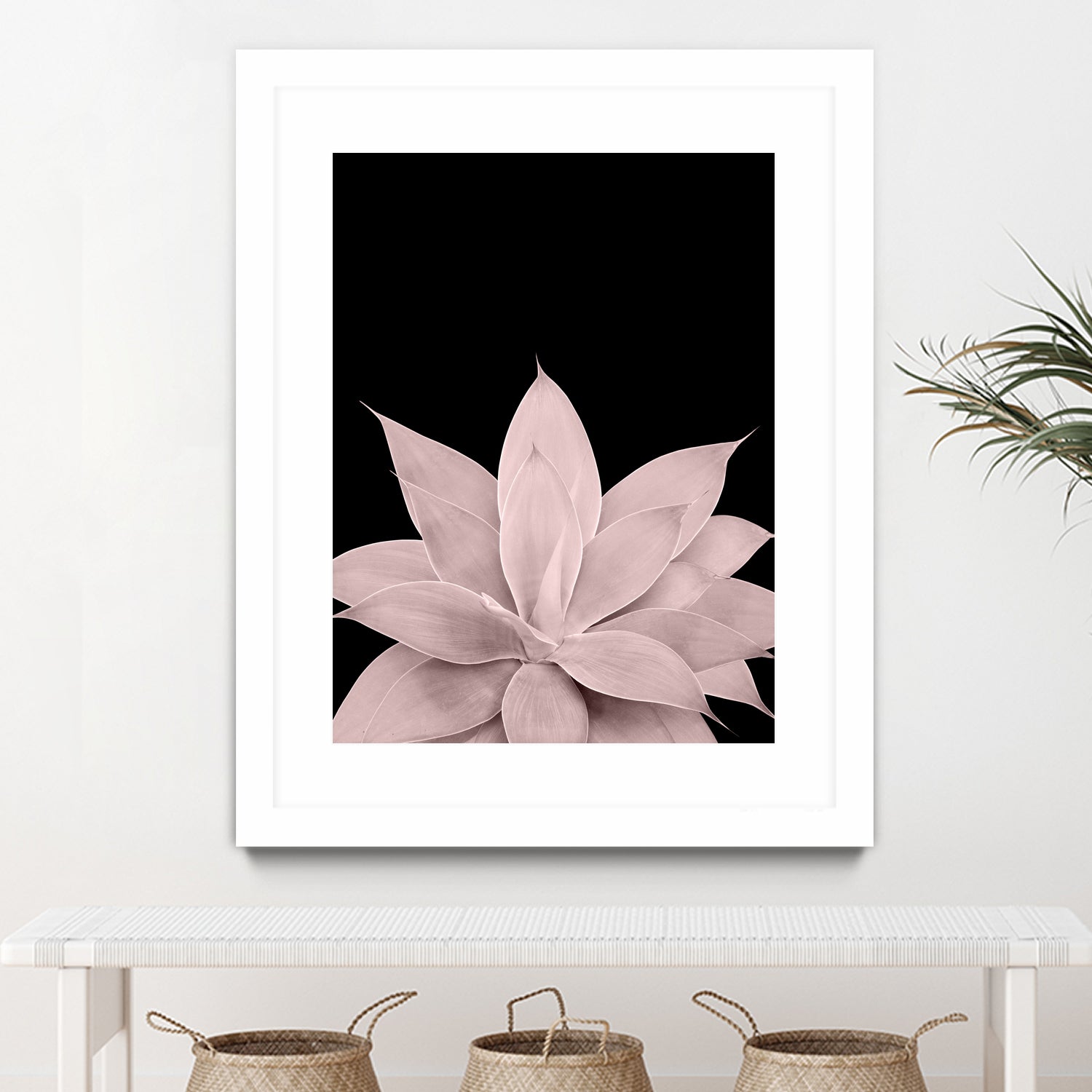 Blush Agave on Black #1 #tropical #decor #art by Anita & Bella Jantz on GIANT ART - pink photo illustration