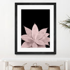 Blush Agave on Black #1 #tropical #decor #art by Anita & Bella Jantz on GIANT ART - pink photo illustration