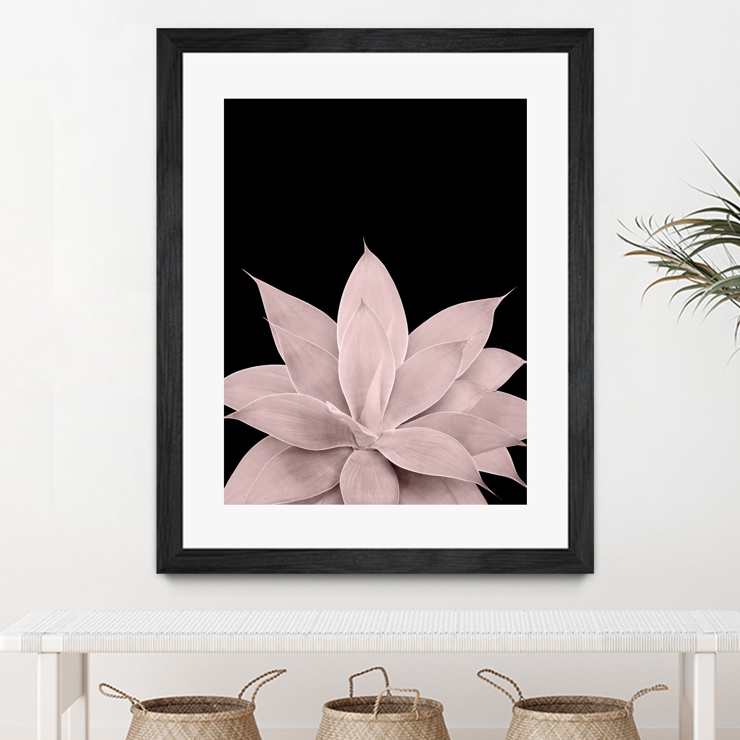 Blush Agave on Black #1 #tropical #decor #art by Anita & Bella Jantz on GIANT ART - pink photo illustration