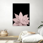 Blush Agave on Black #1 #tropical #decor #art by Anita & Bella Jantz on GIANT ART - pink photo illustration