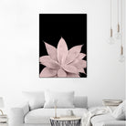 Blush Agave on Black #1 #tropical #decor #art by Anita & Bella Jantz on GIANT ART - pink photo illustration