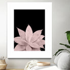 Blush Agave on Black #1 #tropical #decor #art by Anita & Bella Jantz on GIANT ART - pink photo illustration