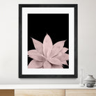 Blush Agave on Black #1 #tropical #decor #art by Anita & Bella Jantz on GIANT ART - pink photo illustration