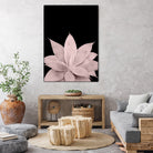 Blush Agave on Black #1 #tropical #decor #art by Anita & Bella Jantz on GIANT ART - pink photo illustration