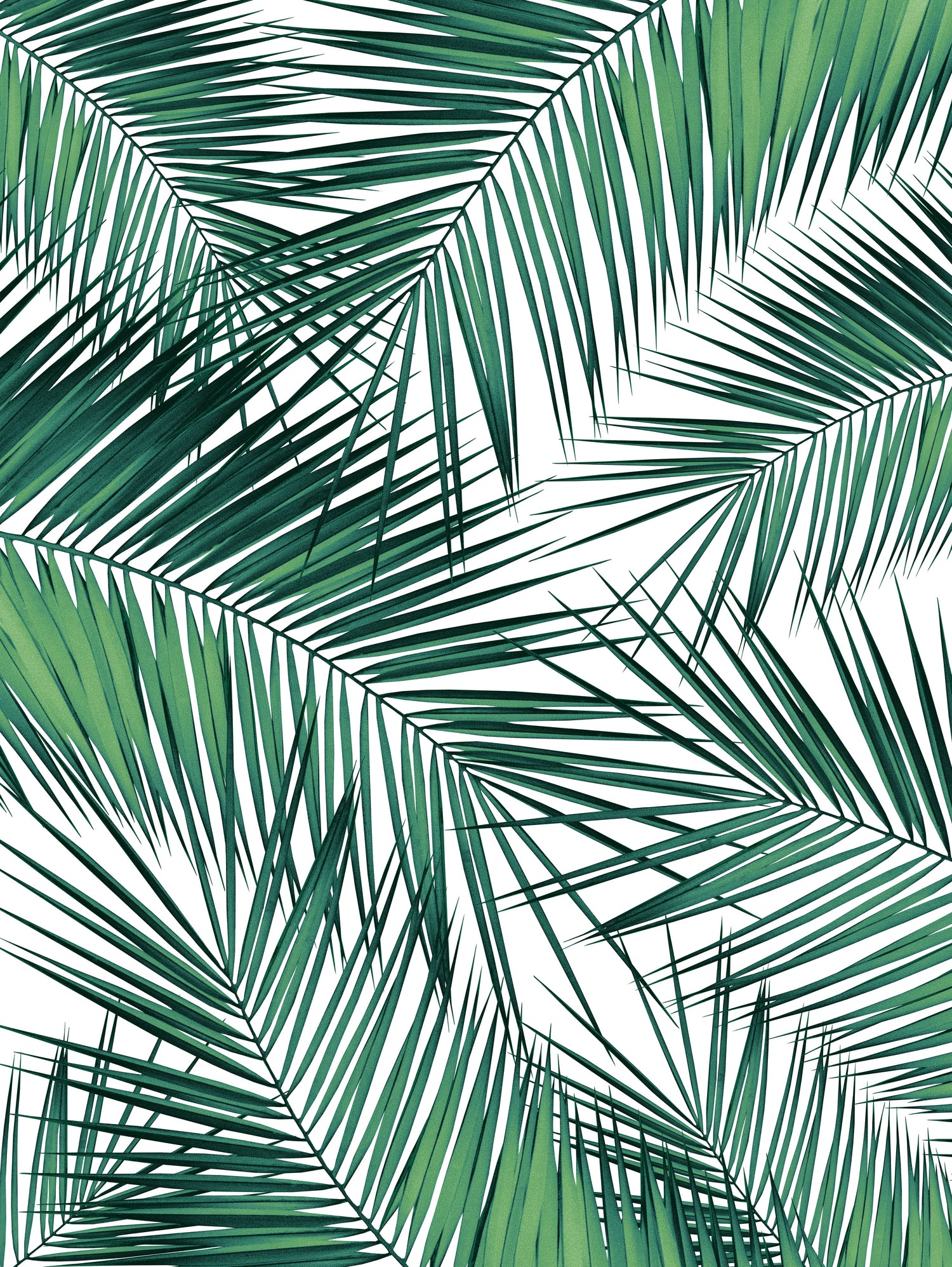 Palm Leaves - Green Cali Vibes #2 #tropical #decor #art by Anita & Bella Jantz on GIANT ART - green photo illustration