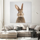 Rabbit - Colorful by Gal Pittel on GIANT ART - brown photo manipulation