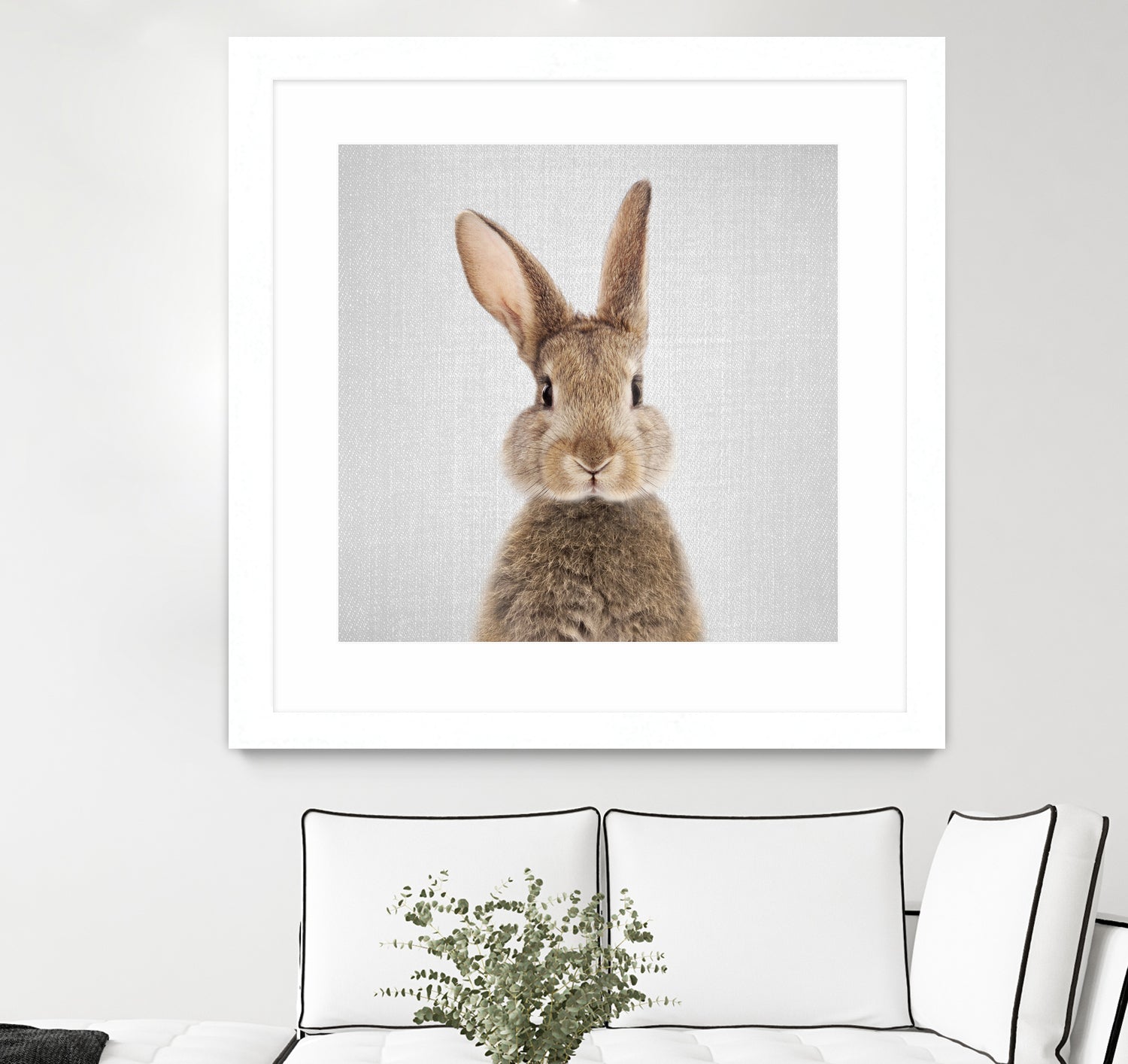 Rabbit - Colorful by Gal Pittel on GIANT ART - brown photo manipulation