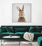 Rabbit - Colorful by Gal Pittel on GIANT ART - brown photo manipulation