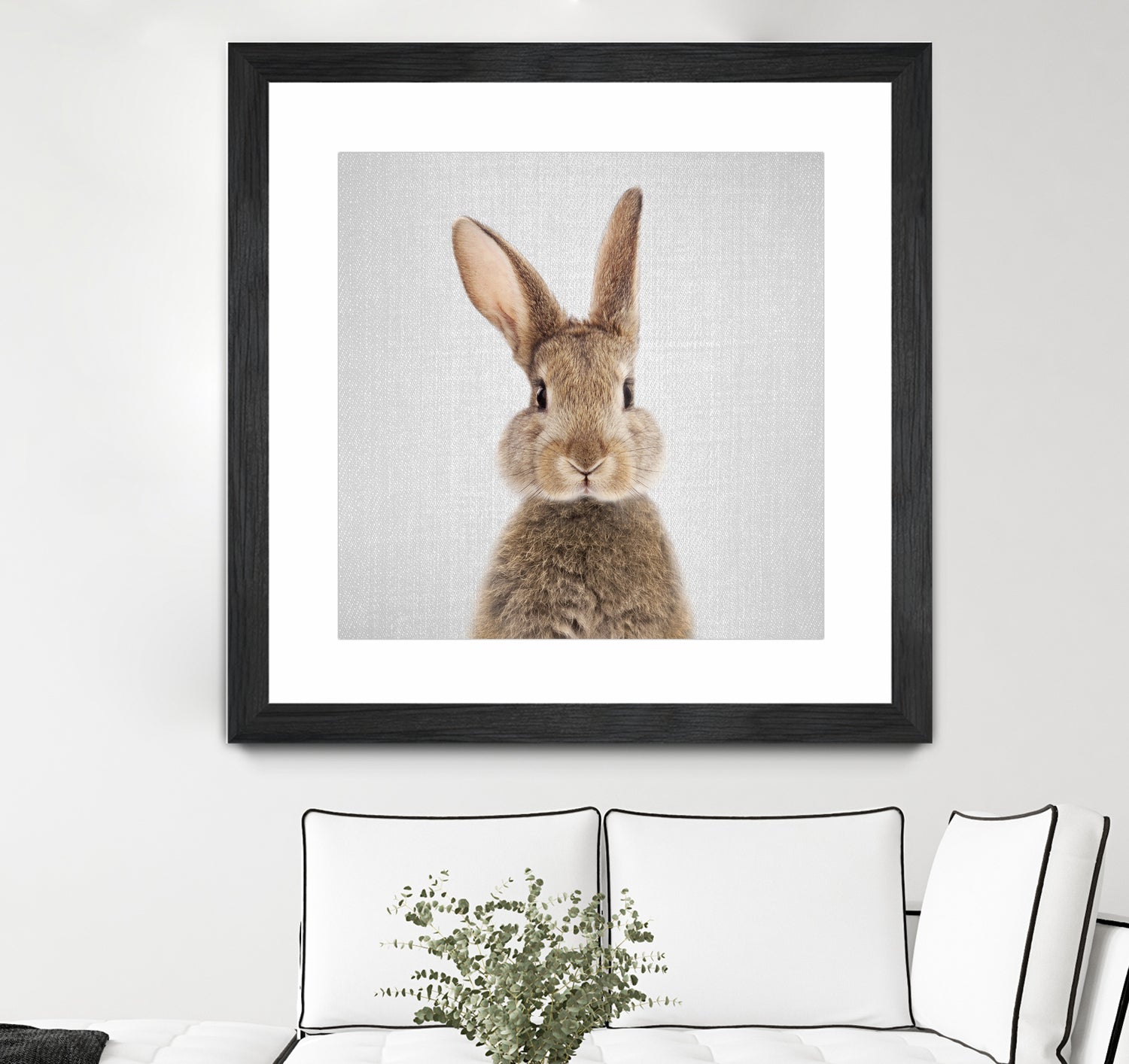 Rabbit - Colorful by Gal Pittel on GIANT ART - brown photo manipulation