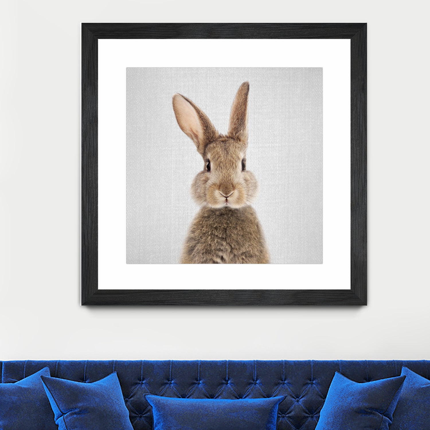 Rabbit - Colorful by Gal Pittel on GIANT ART - brown photo manipulation