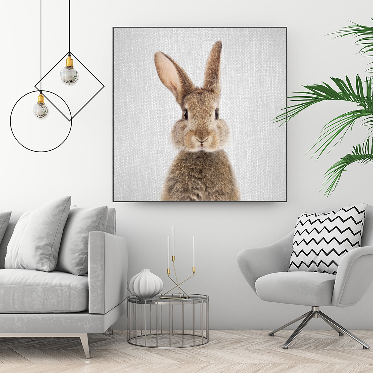 Rabbit - Colorful by Gal Pittel on GIANT ART - brown photo manipulation