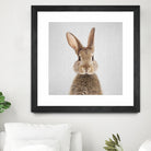 Rabbit - Colorful by Gal Pittel on GIANT ART - brown photo manipulation