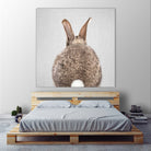 Rabbit Tail - Colorful by Gal Pittel on GIANT ART - brown photo illustration