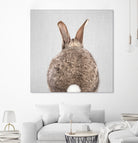 Rabbit Tail - Colorful by Gal Pittel on GIANT ART - brown photo illustration