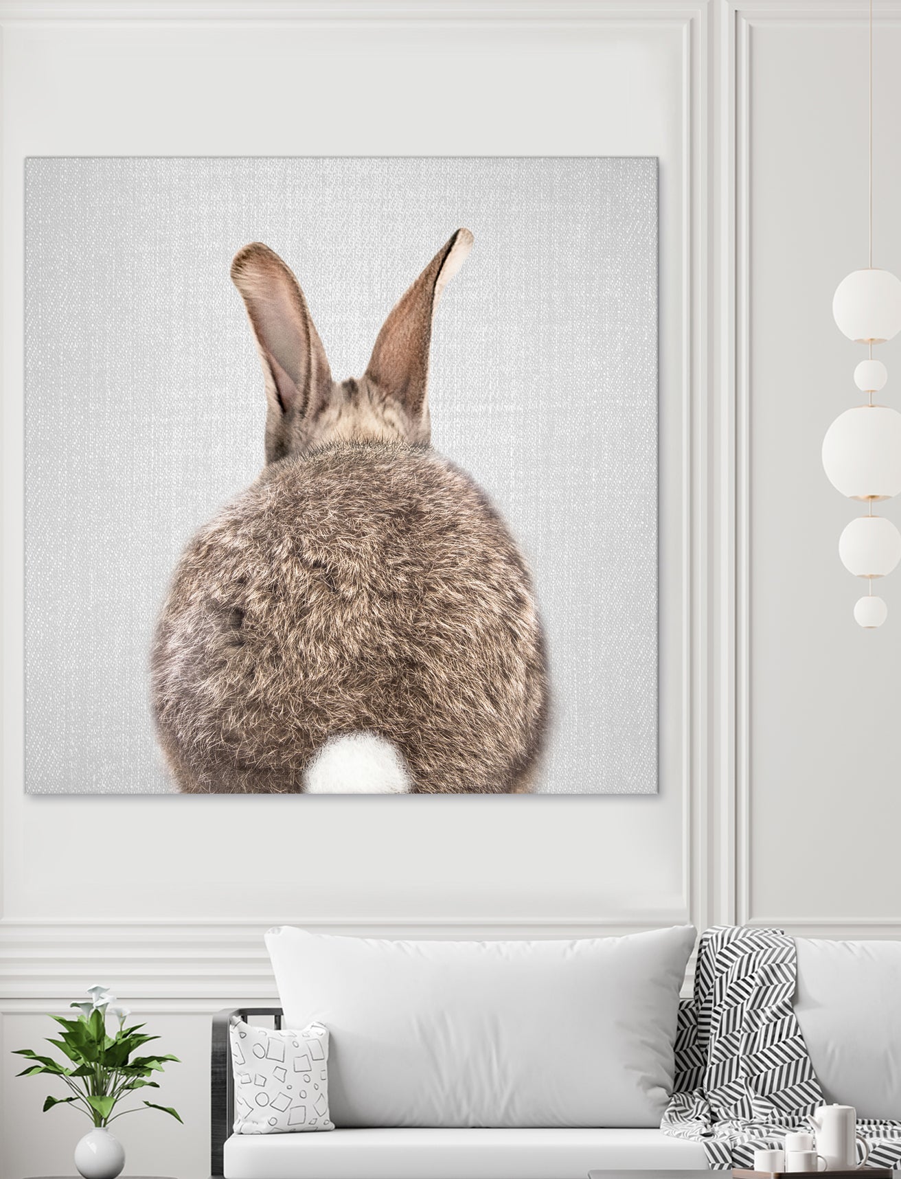 Rabbit Tail - Colorful by Gal Pittel on GIANT ART - brown photo illustration