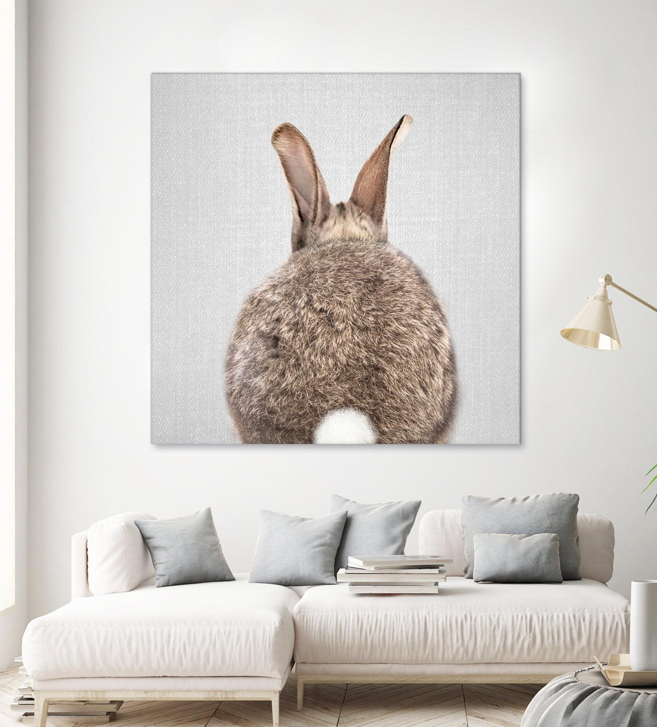 Rabbit Tail - Colorful by Gal Pittel on GIANT ART - brown photo illustration