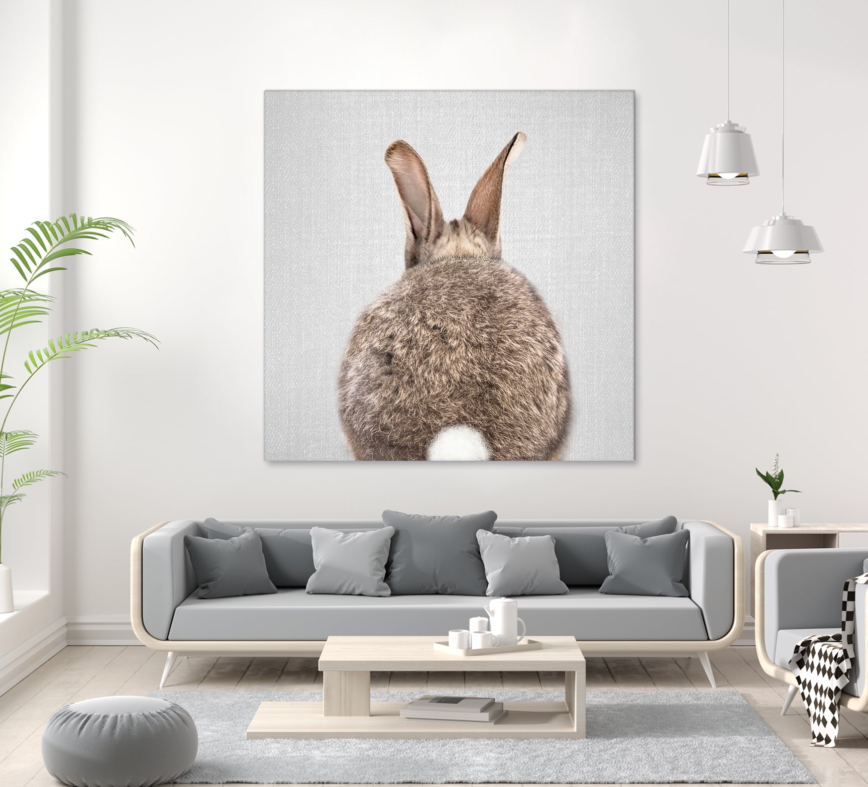 Rabbit Tail - Colorful by Gal Pittel on GIANT ART - brown photo illustration