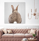 Rabbit Tail - Colorful by Gal Pittel on GIANT ART - brown photo illustration