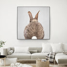 Rabbit Tail - Colorful by Gal Pittel on GIANT ART - brown photo illustration