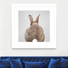 Rabbit Tail - Colorful by Gal Pittel on GIANT ART - brown photo illustration