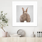 Rabbit Tail - Colorful by Gal Pittel on GIANT ART - brown photo illustration