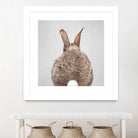 Rabbit Tail - Colorful by Gal Pittel on GIANT ART - brown photo illustration