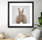 Rabbit Tail - Colorful by Gal Pittel on GIANT ART - brown photo illustration