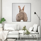 Rabbit Tail - Colorful by Gal Pittel on GIANT ART - brown photo illustration