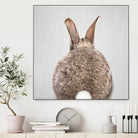 Rabbit Tail - Colorful by Gal Pittel on GIANT ART - brown photo illustration