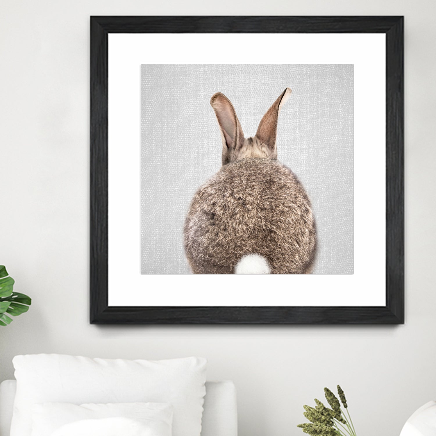 Rabbit Tail - Colorful by Gal Pittel on GIANT ART - brown photo illustration