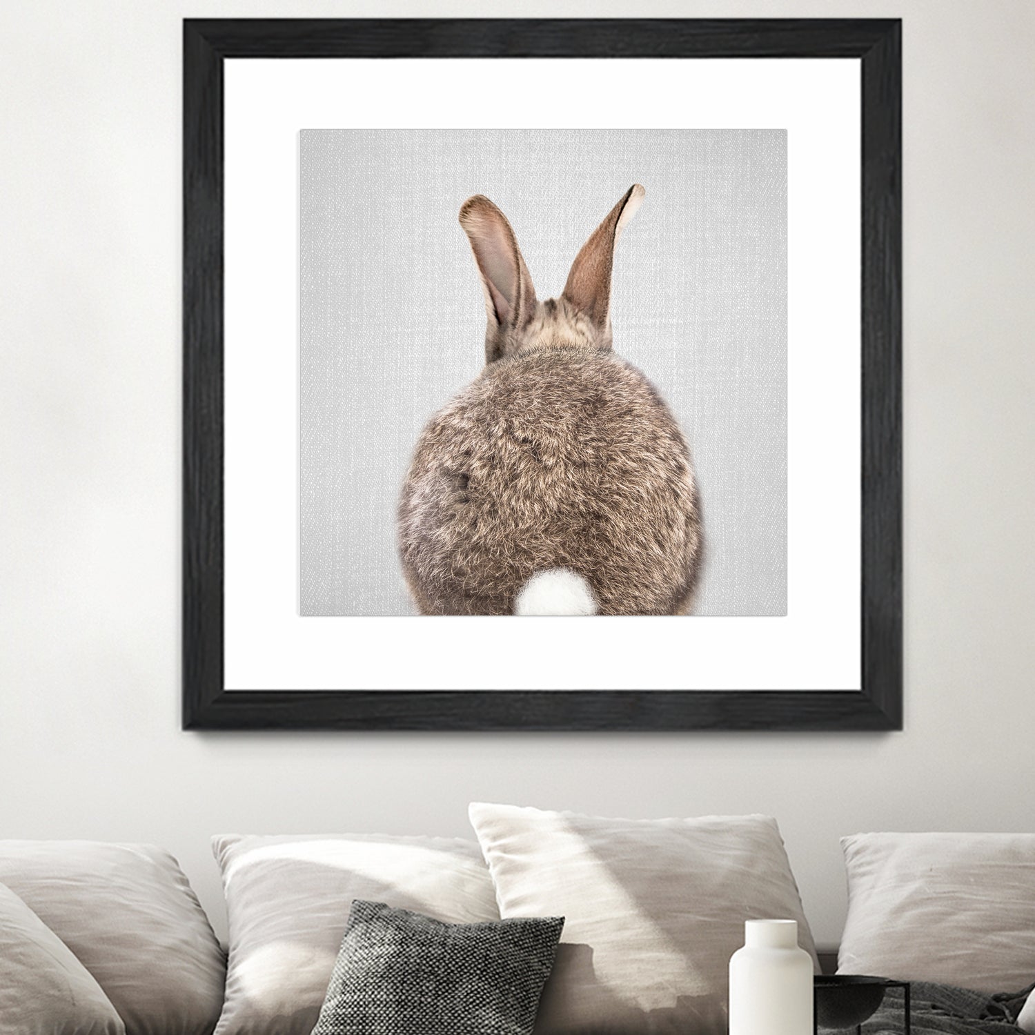 Rabbit Tail - Colorful by Gal Pittel on GIANT ART - brown photo illustration