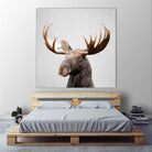 Moose - Colorful by Gal Pittel on GIANT ART - brown photo illustration