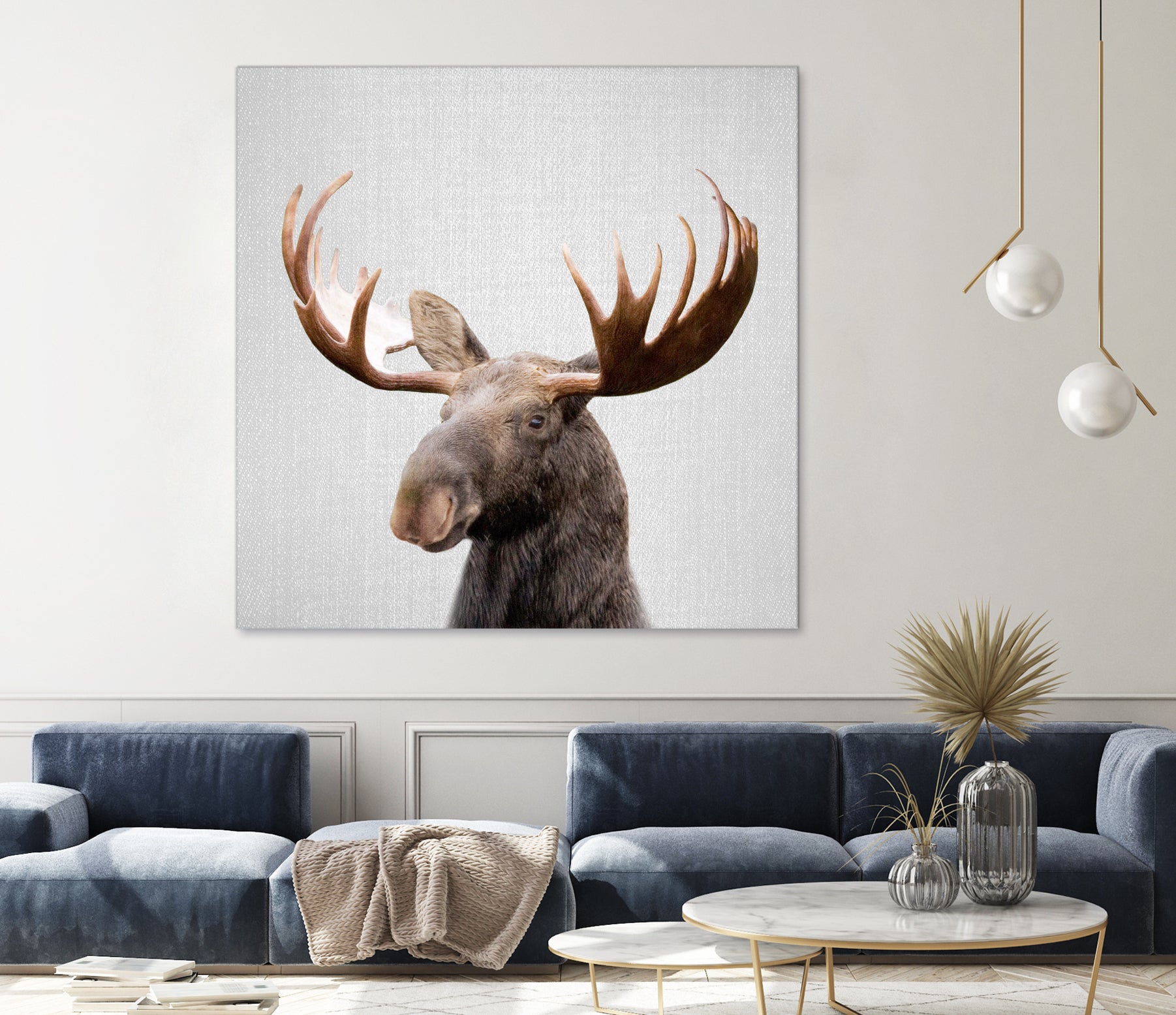 Moose - Colorful by Gal Pittel on GIANT ART - brown photo illustration