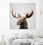 Moose - Colorful by Gal Pittel on GIANT ART - brown photo illustration