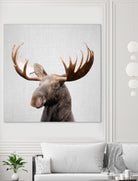 Moose - Colorful by Gal Pittel on GIANT ART - brown photo illustration