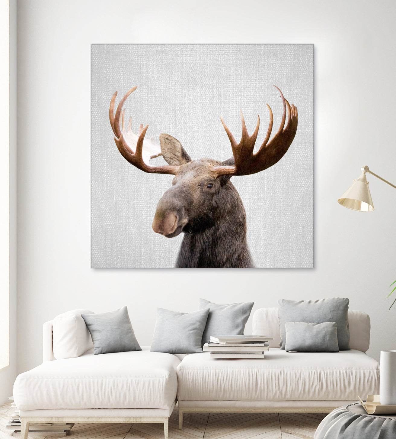 Moose - Colorful by Gal Pittel on GIANT ART - brown photo illustration