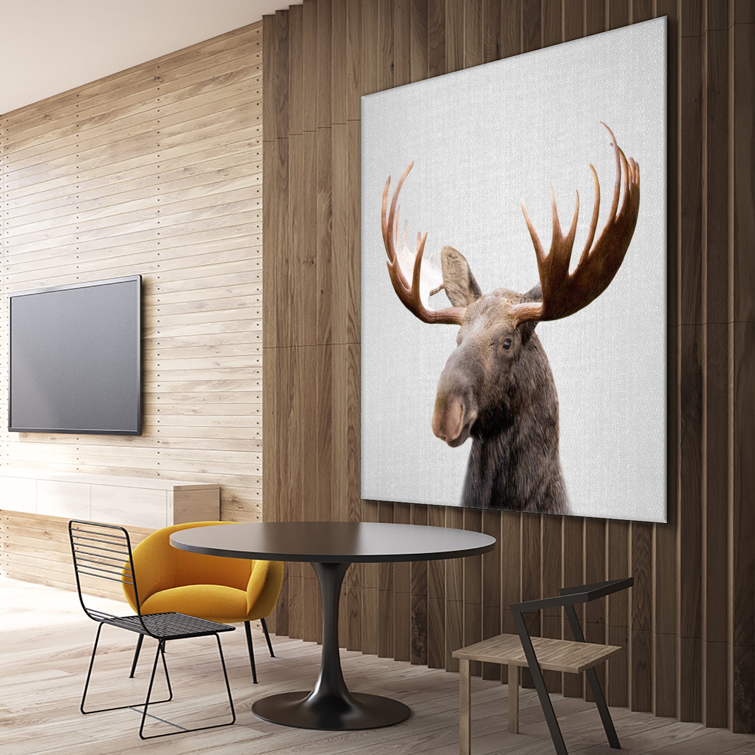 Moose - Colorful by Gal Pittel on GIANT ART - brown photo illustration