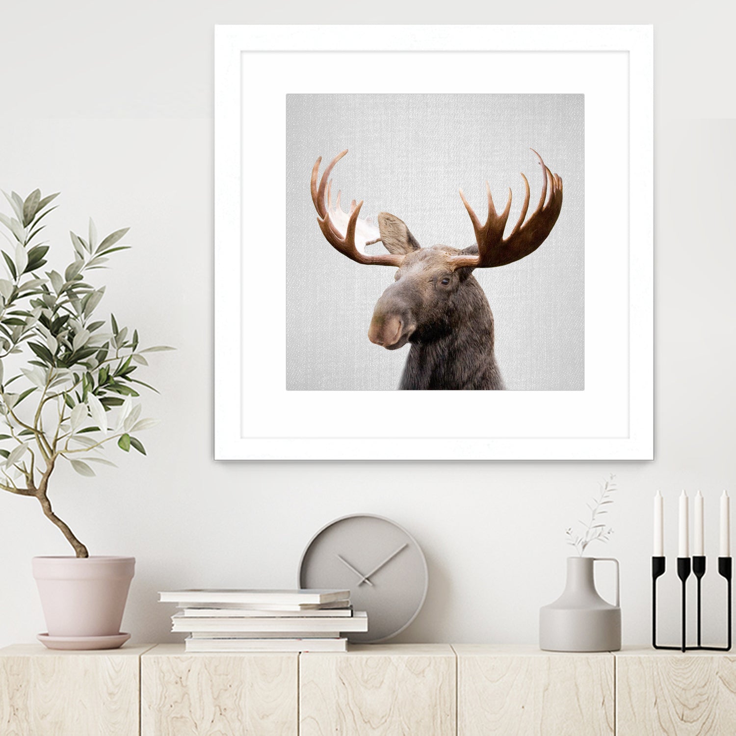 Moose - Colorful by Gal Pittel on GIANT ART - brown photo illustration