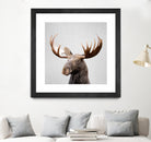 Moose - Colorful by Gal Pittel on GIANT ART - brown photo illustration