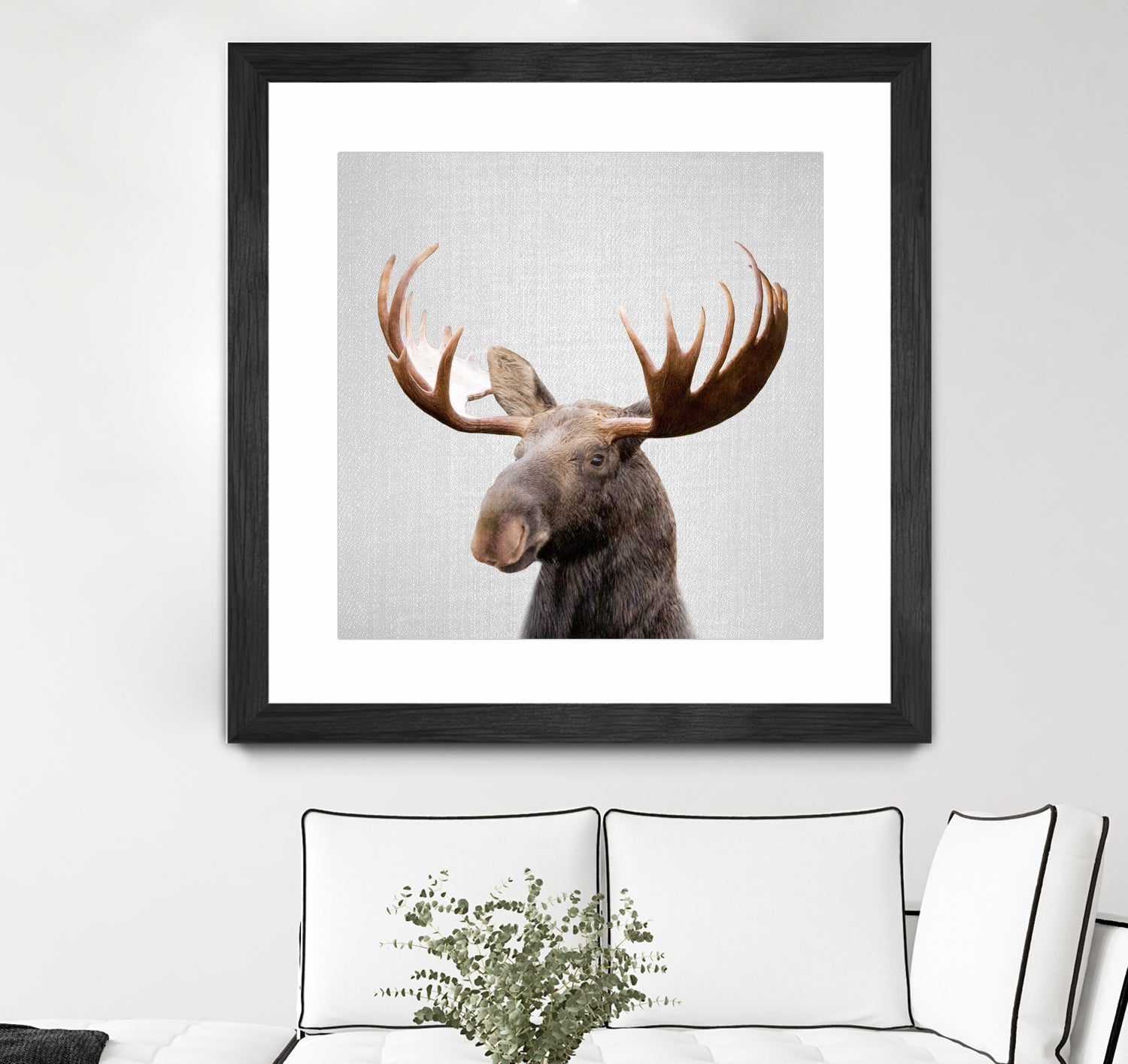 Moose - Colorful by Gal Pittel on GIANT ART - brown photo illustration