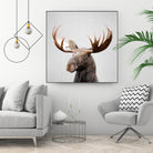 Moose - Colorful by Gal Pittel on GIANT ART - brown photo illustration