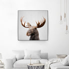 Moose - Colorful by Gal Pittel on GIANT ART - brown photo illustration