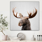 Moose - Colorful by Gal Pittel on GIANT ART - brown photo illustration