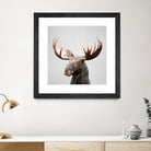 Moose - Colorful by Gal Pittel on GIANT ART - brown photo illustration