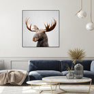 Moose - Colorful by Gal Pittel on GIANT ART - brown photo illustration