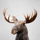 Moose - Colorful by Gal Pittel on GIANT ART - brown photo illustration