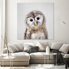 Baby Owl - Colorful by Gal Pittel on GIANT ART - brown digital painting