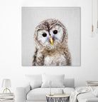 Baby Owl - Colorful by Gal Pittel on GIANT ART - brown digital painting