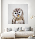 Baby Owl - Colorful by Gal Pittel on GIANT ART - brown digital painting