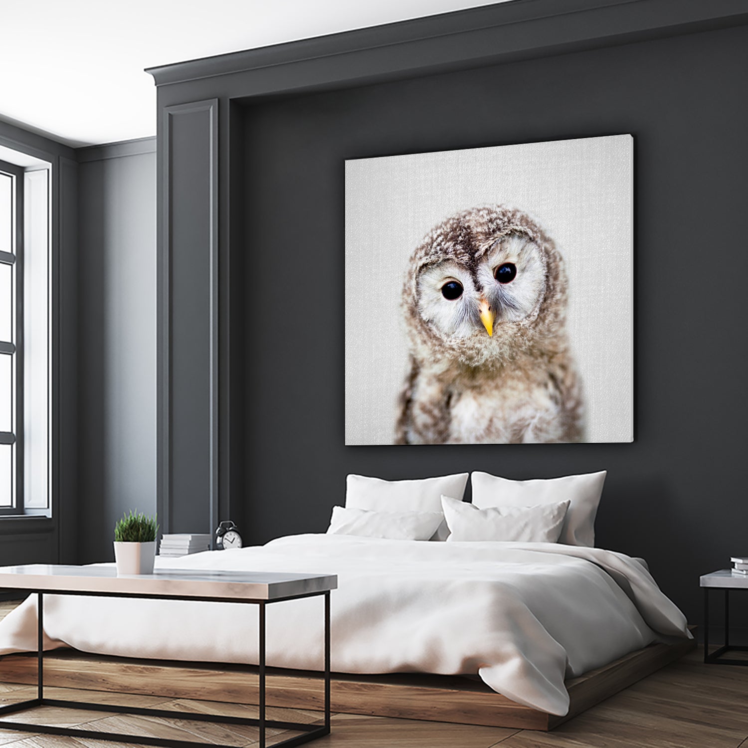 Baby Owl - Colorful by Gal Pittel on GIANT ART - brown digital painting